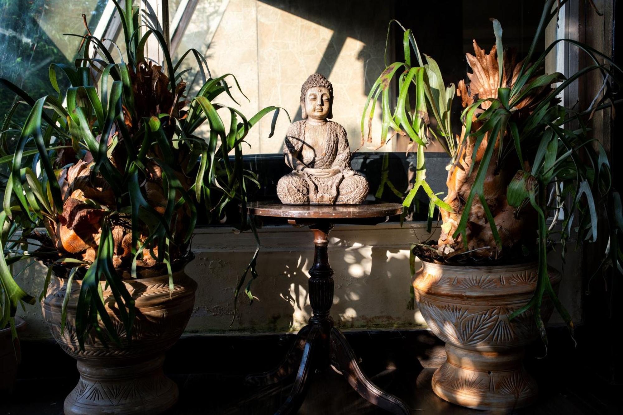 Hotel Viceroy Darjeeling  Esterno foto